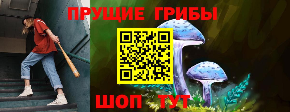 Саров  Галлюциногенные грибы Cubensis  Вход с VPN 